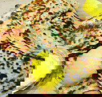 Gozleme King - Macquarie Park - Darwin Tourism