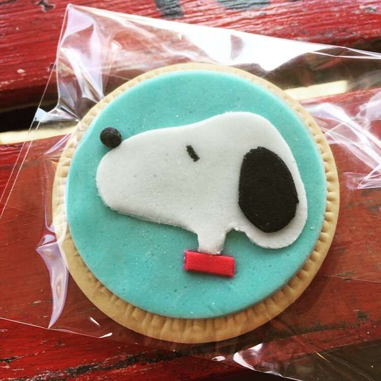 Thornleigh NSW Darwin Tourism