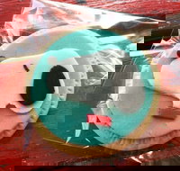 Curl the Whisker Cafe - Darwin Tourism