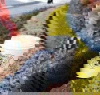 Thomas Holt Roasters - Darwin Tourism