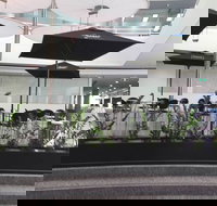 D Cafe - Darwin Tourism