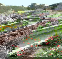 The Farmer's Place - Darwin Tourism