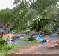 The Pop Inn by Wine Bar Co. - Darwin Tourism