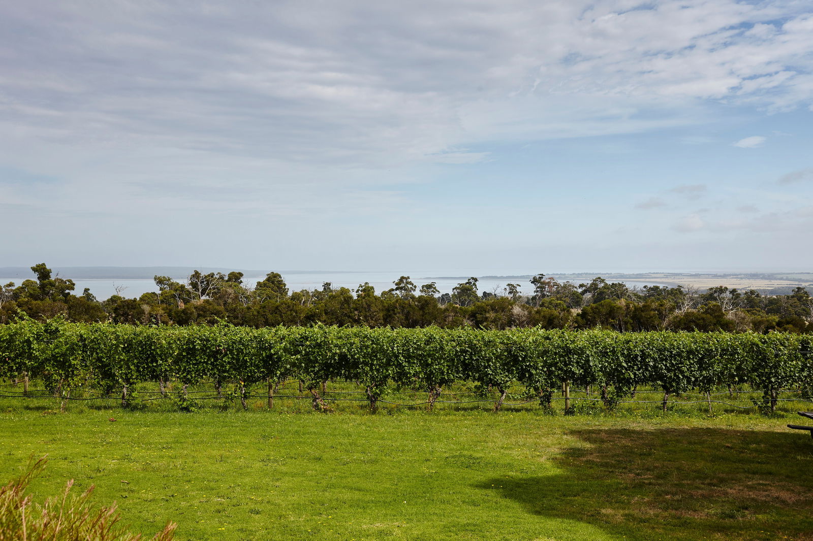Adams Estate VIC Darwin Tourism