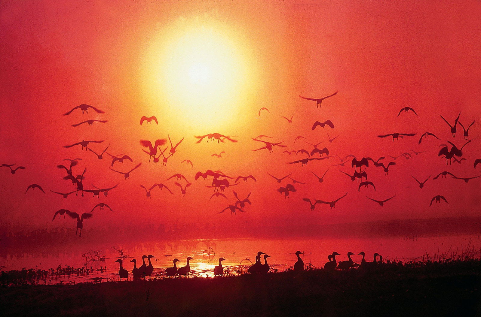 Peronne ACT Darwin Tourism