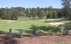 Birdies On Bent - thumb 1