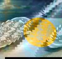 Fay's Cafe - Darwin Tourism