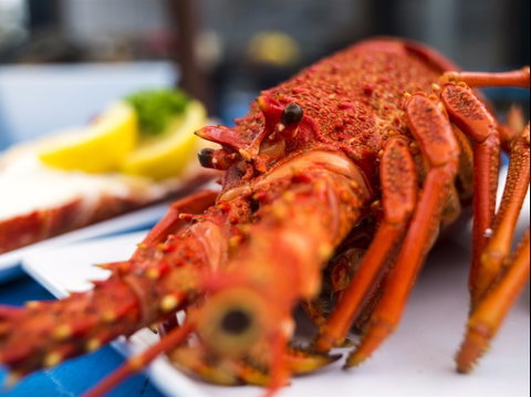 Freycinet Marine Farm - Darwin Tourism 0