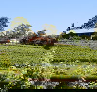 djinta djinta Winery - Darwin Tourism
