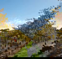 Ruddenklau Wines - Darwin Tourism