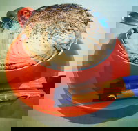 Sunshine Social - Darwin Tourism