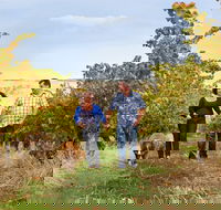 WayWood Wines - Darwin Tourism