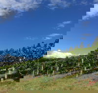 Freycinet Vineyard - Darwin Tourism