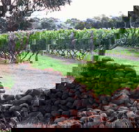 Spring Vale Vineyard - Darwin Tourism