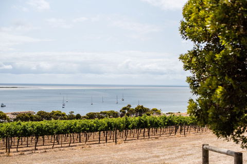 Bay Of Shoals Wines - Darwin Tourism 2