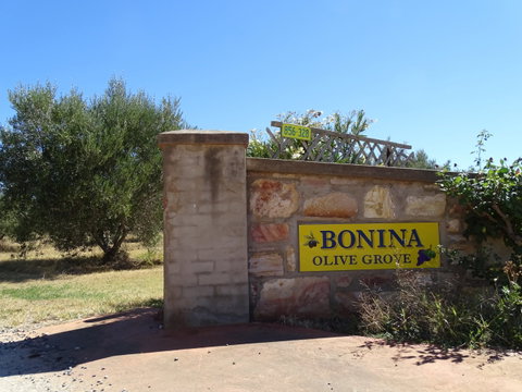 Bonina Olive Grove - Darwin Tourism 1