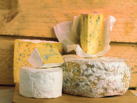 Cheese Shop At Makers' Workshop Burnie - The - Darwin Tourism 1