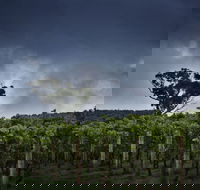 Dalrymple Vineyards - Darwin Tourism