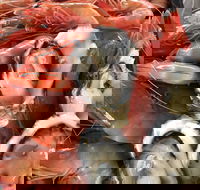Mi Shells Seafood - Darwin Tourism