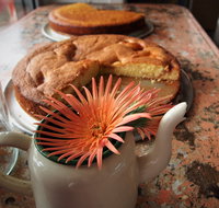 Beachwood Cafe - Darwin Tourism