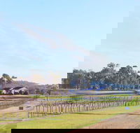 Blacklea Vineyard and Olive Grove - Darwin Tourism