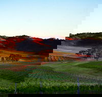 Dalwhinnie Wines - Darwin Tourism