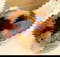 Macchinetta - Tullamarine - Darwin Tourism