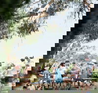 St Leonards Vineyard Caf - Darwin Tourism