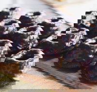 Botanica - Teneriffe - Darwin Tourism