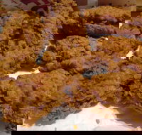 KFC - Forrestfield - Darwin Tourism