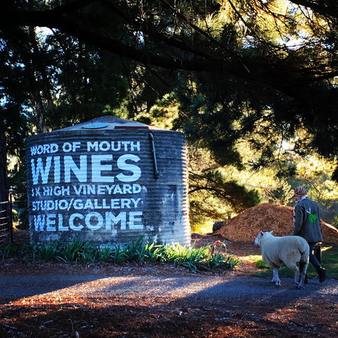 Word Of Mouth Wines - Darwin Tourism 1