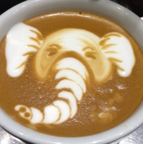 Cafenatics - Docklands - Darwin Tourism 0