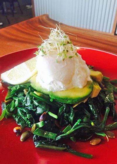 Karma Cafe & Fitness - Darwin Tourism 9