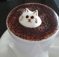 Cafe 2340 - Darwin Tourism