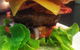 Cafe Borellas - thumb 4