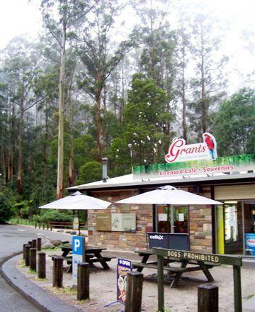 Kangaroo Island Fresh Seafoods And Takeaway - Darwin Tourism 5