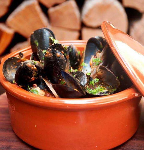 Cavallino - Darwin Tourism 13