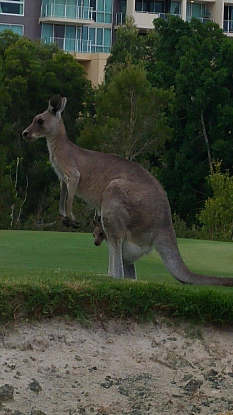 T On Course - Darwin Tourism 3