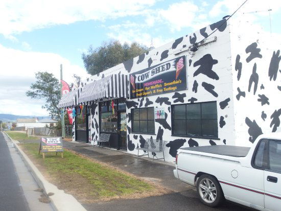 Avoca TAS Darwin Tourism