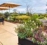 Arid Lands Botanic Garden Cafe - Darwin Tourism