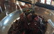 Seed Clare Valley - thumb 4