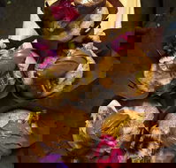 The Freedom Hub Cafe