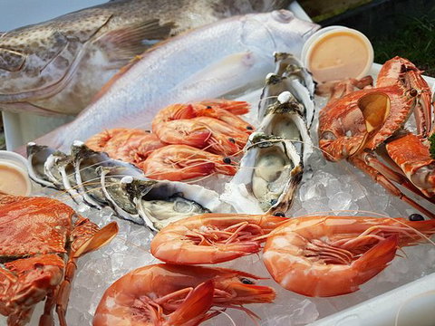 Rufus King Seafoods - Darwin Tourism 0