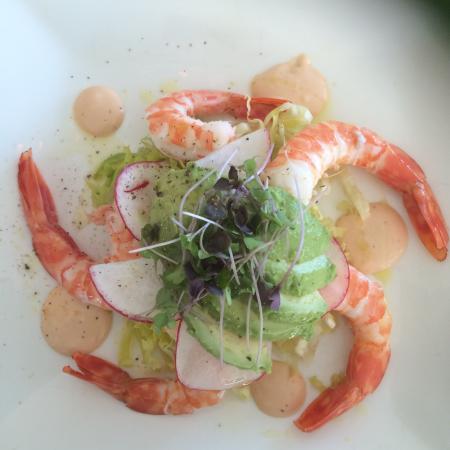 Pullenvale QLD Darwin Tourism