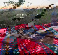 Bunnyconnellen Olive Grove  Vineyard - Darwin Tourism