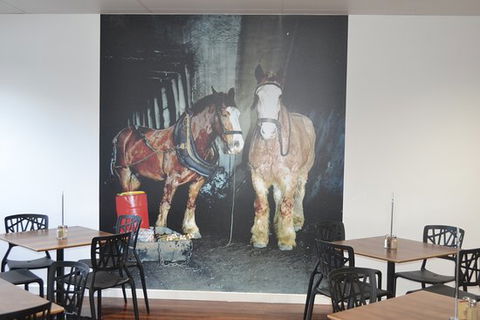 Pit Pony Hotel - Darwin Tourism 0