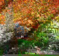 The Woods Ravensbourne - Darwin Tourism