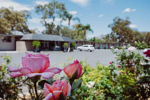 Artesian Spa Motor Inn - Darwin Tourism 2