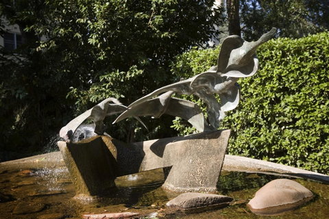 University House - ANU - Darwin Tourism 33