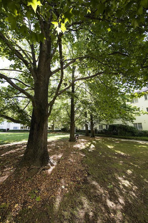 University House - ANU - Darwin Tourism 28